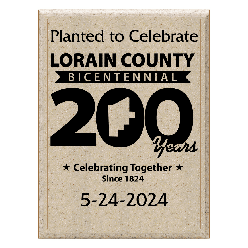 6x8 Sand Acryla Stone 2